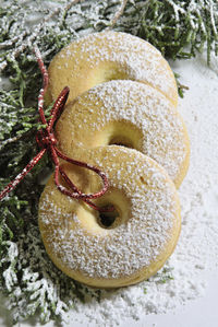 Close-up of christmas cookie