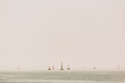 Sailboats sailing in sea against clear sky