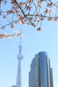 Low angle view of modern office building