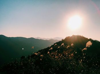 Sun shining over mountains
