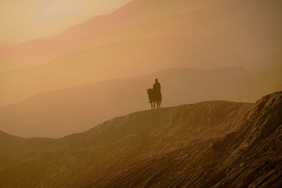 Riding a horse along the top of the mountain