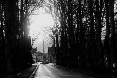 Empty road along bare trees in city