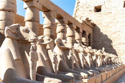 Low angle view of statue
karnak temple in luxor egypt is a travel back in time