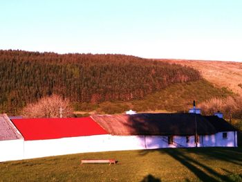 Scenic view of field against clear sky