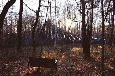 Empty bench on tree trunk