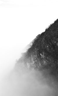 Low angle view of tree mountain against sky