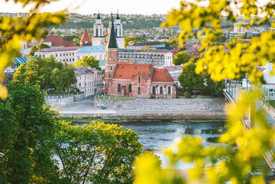 Trees and buildings in city