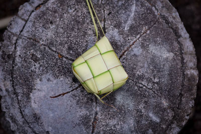 High angle view of fruit on rock