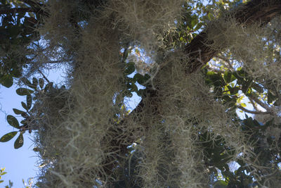 High angle view of leaves floating on water