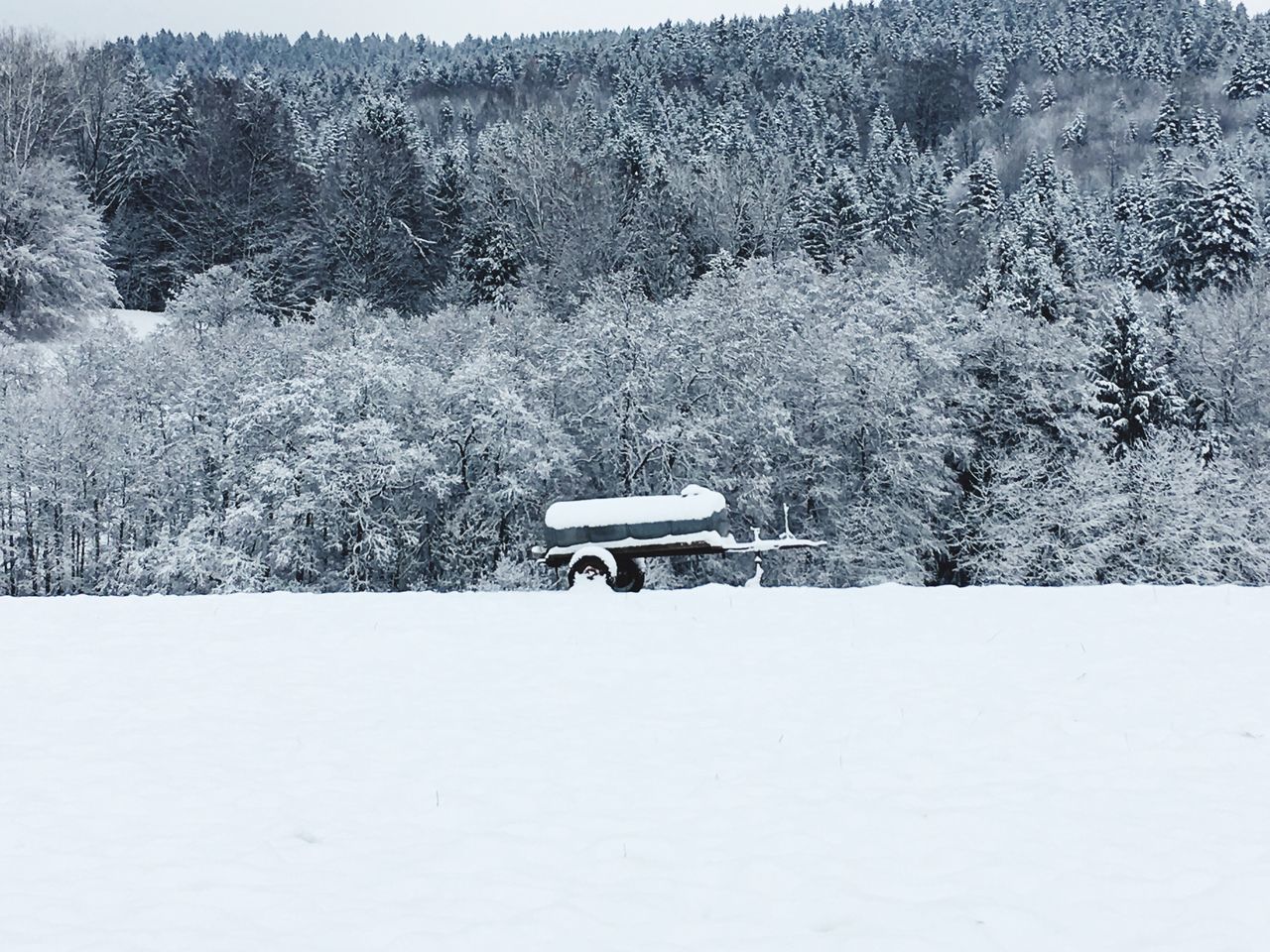 winter, snow, cold temperature, nature, white color, landscape, weather, tranquility, beauty in nature, tranquil scene, tree, no people, scenics, day, outdoors