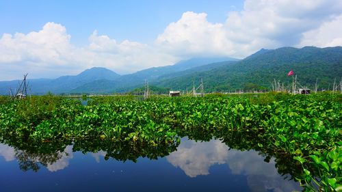 Scenic view of lake against sky