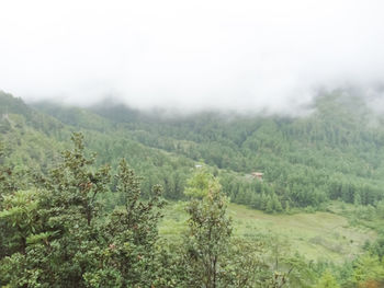 Scenic view of agricultural field