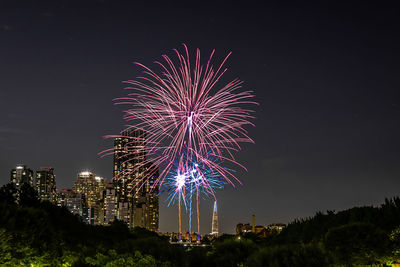 Firework display in sky at night