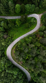 High angle view of road amidst trees