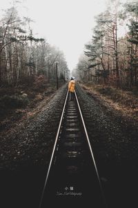 Railroad tracks in forest against sky