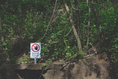 Road sign by trees in forest