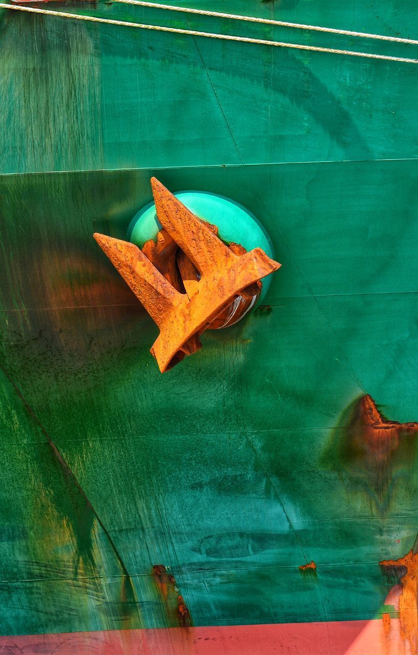 HIGH ANGLE VIEW OF ORANGE LEAVES ON WOODEN TABLE