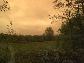 Scenic view of field against sky during sunset