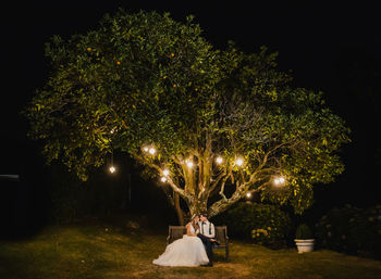 Rear view of woman with illuminated christmas tree at night