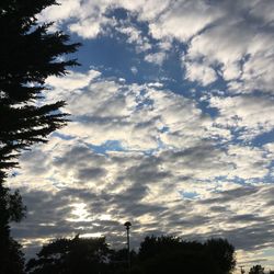 Low angle view of silhouette trees against sky