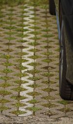 Low section of person standing on footpath