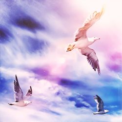 bird