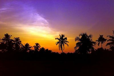 Silhouette palm trees at sunset
