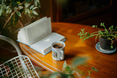 Close-up of potted plant on table