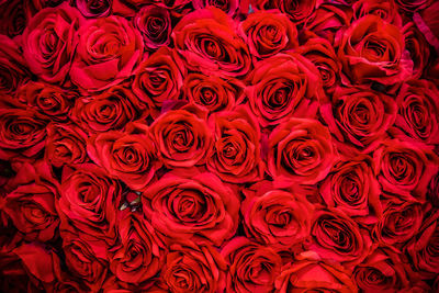 Full frame shot of rose bouquet