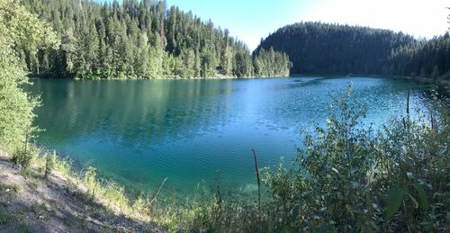 Scenic view of lake in forest against sky