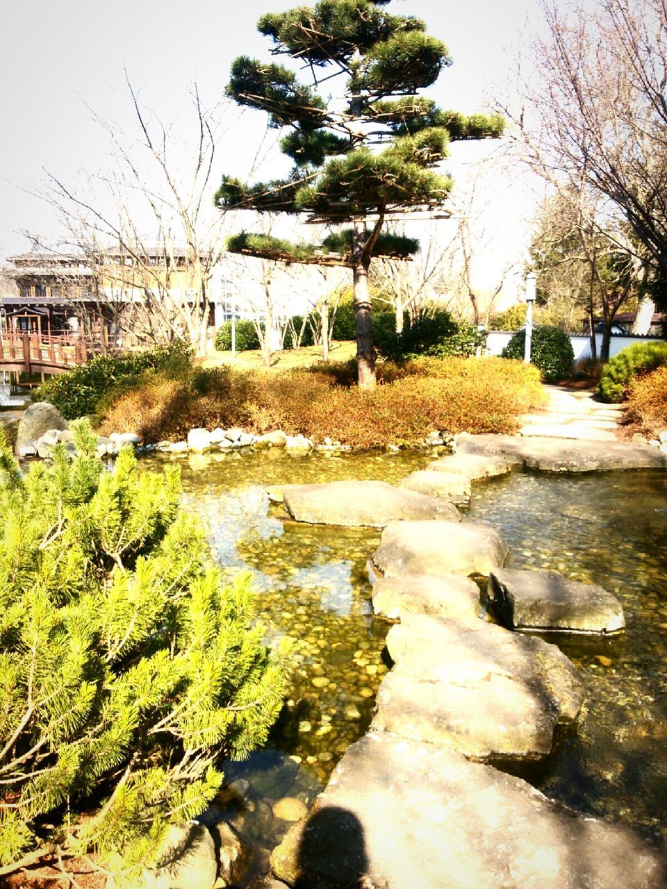 water, building exterior, tree, built structure, architecture, plant, growth, river, rock - object, nature, sky, canal, sea, day, sunlight, high angle view, house, outdoors, clear sky, incidental people