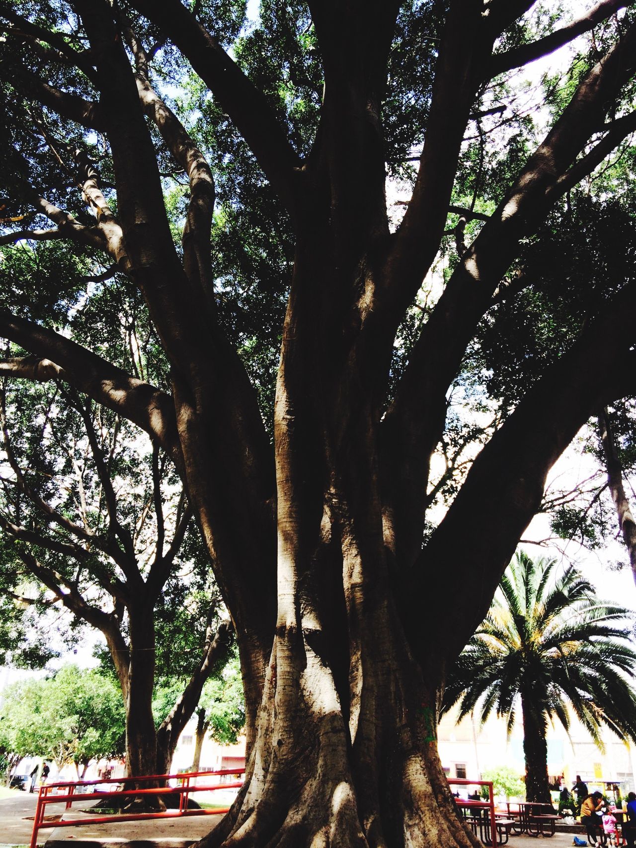 Parque del niño artillero