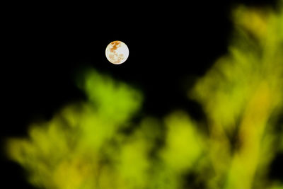 Low angle view of moon at night