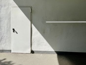 Shadow of a bird on wall