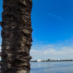 View of city at waterfront