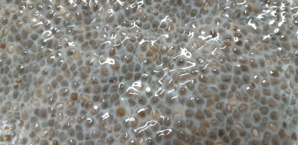 Full frame shot of bubbles