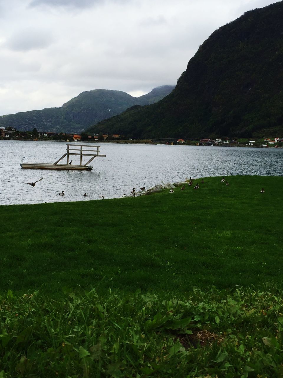 mountain, mountain range, water, sky, tranquil scene, tranquility, grass, lake, scenics, beauty in nature, animal themes, nature, cloud - sky, cloud, idyllic, non-urban scene, landscape, day, bird, sea