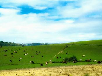 Scenic view of field against cloudy sky