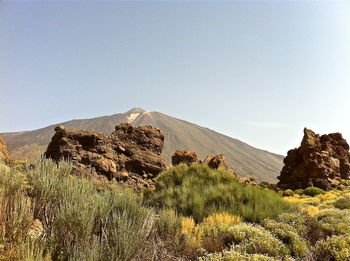 Scenic view of landscape against clear sky