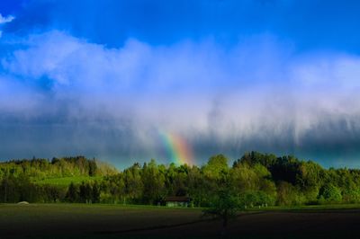 Scenic view of rainbow over trees against sky