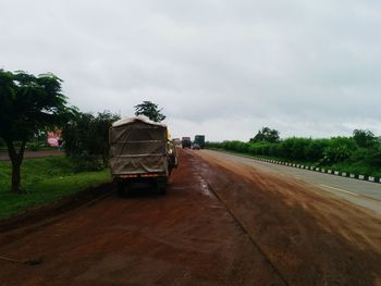 Empty road along trees