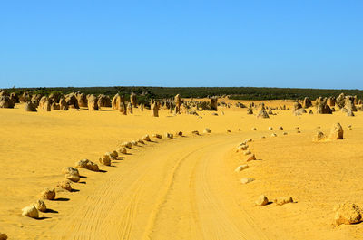 Pinnacles desert in nambung national park.