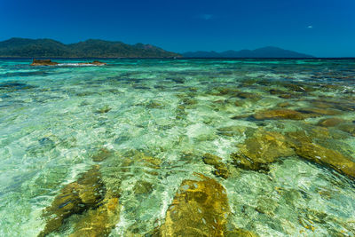 Scenic view of sea against clear blue sky