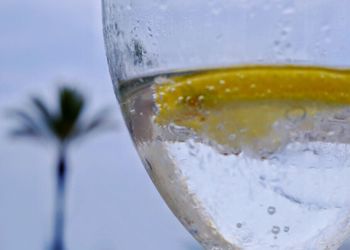 Close-up of beer in water