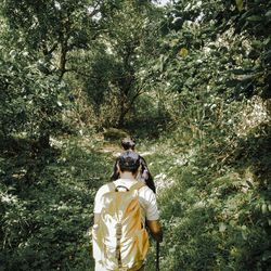 Rear view of people in forest