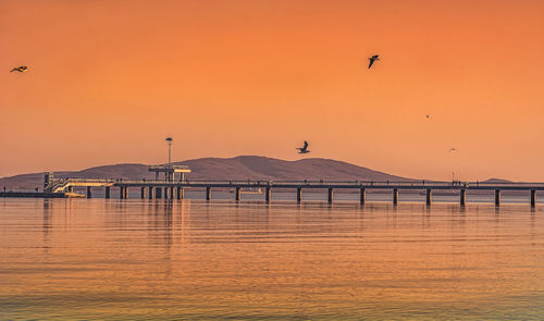 Birds flying over sea against orange sky