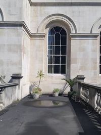 Potted plant on balcony of building