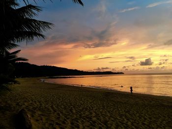 Scenic view of beach at sunset