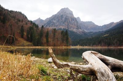 Scenic view of lake and mountains