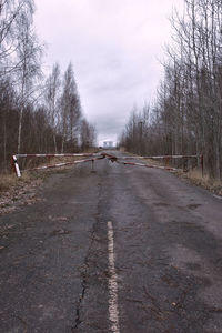 Road amidst bare trees against sky